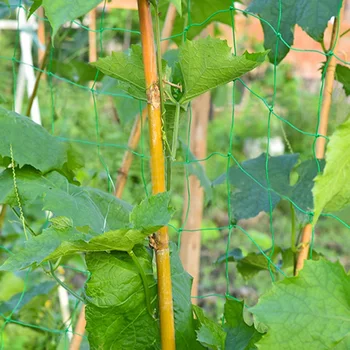 

Durable Pond Fruit Tree Vegetables Net Anti Bird Netting Protection Crops Flower Garden Mesh Protect Net Pest Control A