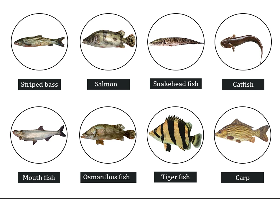 3种颜色亮片鱼饵_05
