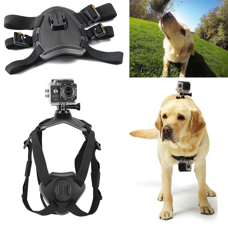 

Fetch Dog Harness Chest Strap for GoPro Hero 7 6 5 4 3 Adjustable Sports Camera Mount Holder Pets Large Dogs Harness Chest Belt