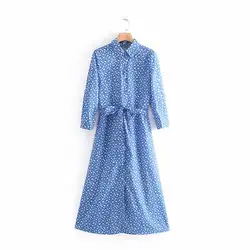 2019 Весна и лето новый стиль Ozhouzhan принтованное длинное платье женская синяя юбка с принтом Xdn8895
