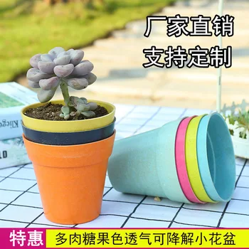 

Plant Degradable Flower Pot Circle Plastic Flowerpot Succulent Basin Cactus Small Flower Pot Place of Origin Supply of Goods