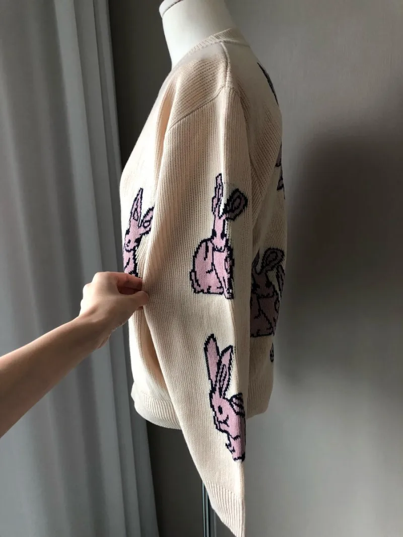 O1CN011R6tYAS7doyskSl_!!731402063