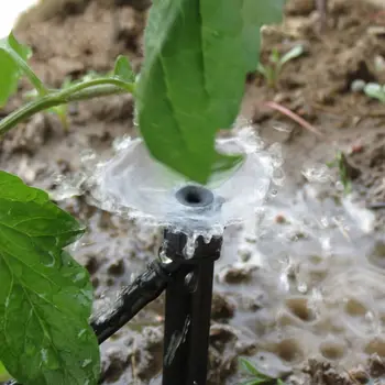 

10pcs Micro Bubbler Drip Irrigation Adjustable Sprinkler Spray Garden Plants Watering Nozzle 360 Degree Drippers