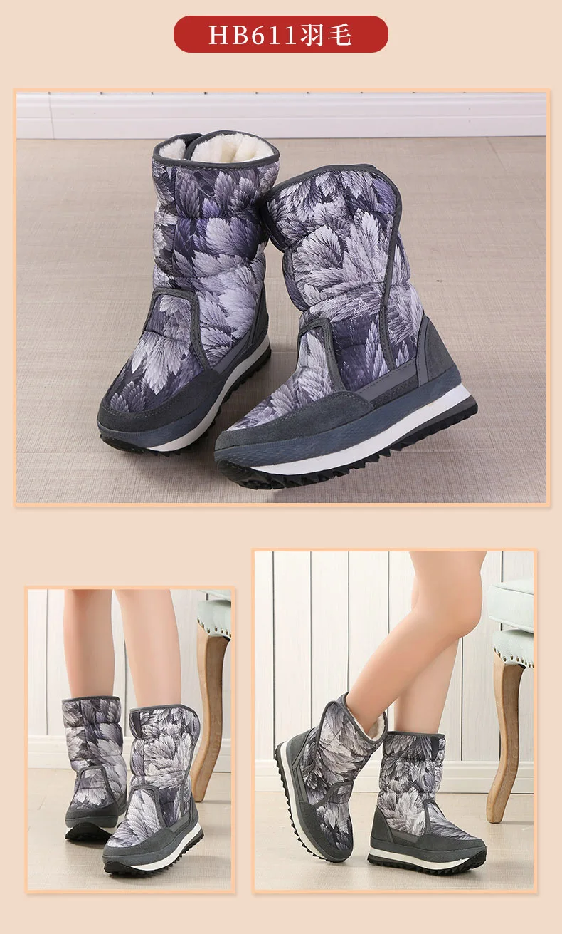 11638831854_1066082394