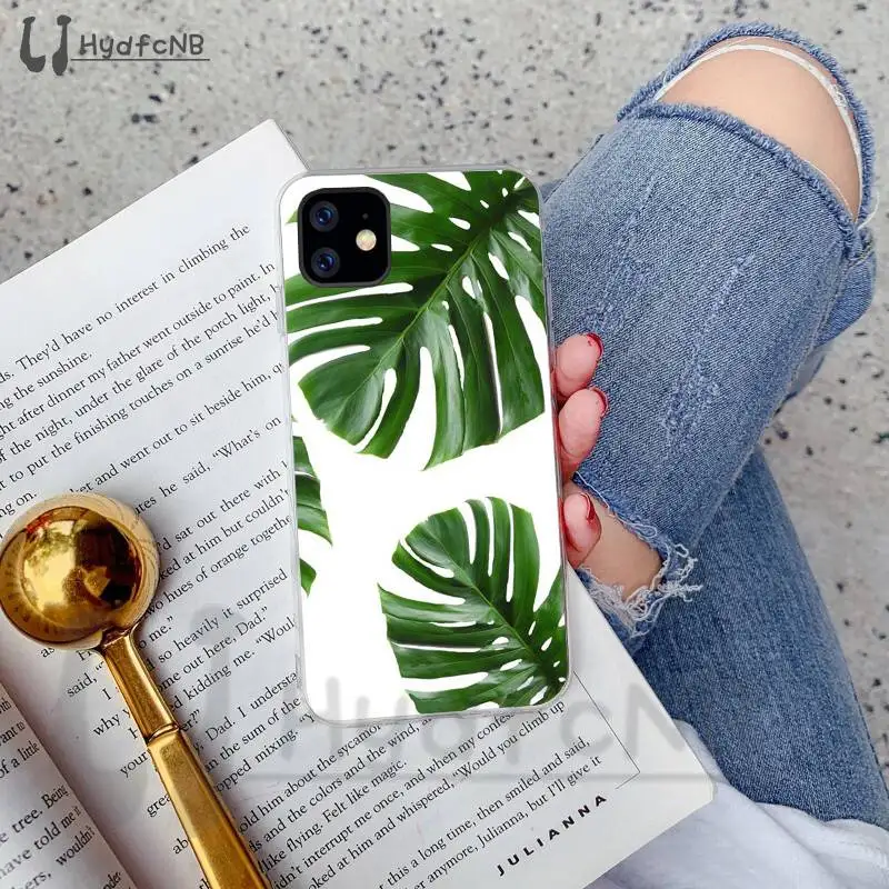 Banana Leaf