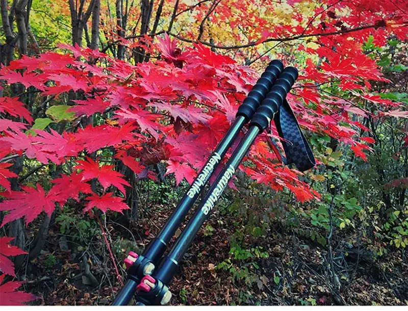Naturehike Walking Stick Carbon Fiber External Lock Trekking Poles Ultralight Hiking Mountaineering Portable Outdoor Climbing • FISHISHERE