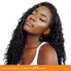 Lace Wigs