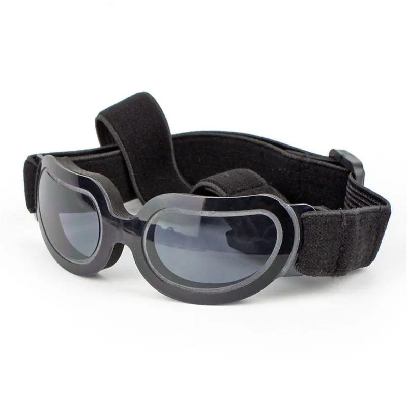 Stylish Sunglasses for Dogs