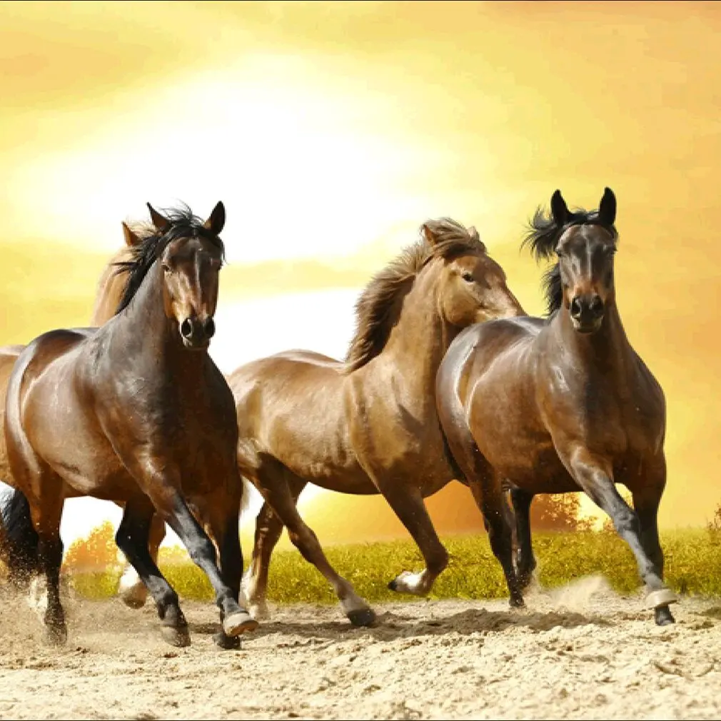 Three horses Diy Алмазная роспись полная Алмазная женщина Q230 Алмазная вышитая гостиная спальня декоративное живописное полотно - Цвет: Three horses