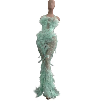 

Women Celebrate Stage Outfit Dress Feather Mesh See-through Long Dresses Lady Birthday Banquet Evening Prom Show Dresses