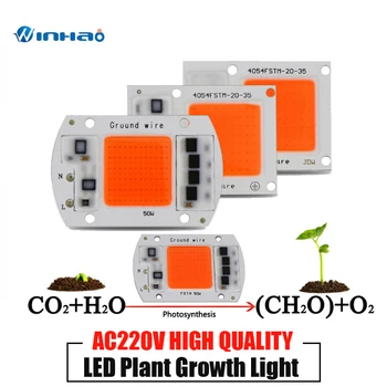 

Full Spectrum LED Grow COB Chip Phyto Lamp AC220V Phytolight For Indoor 20W 30W 50W Plant Seedling Grow And Flower Fitolamp