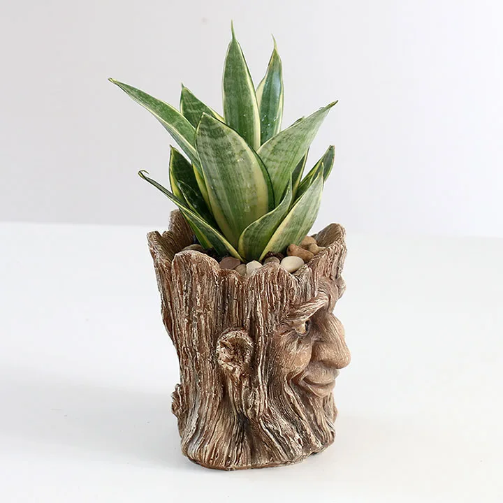 YeFine Vintage Imitation Old Man Head Flower Pot Container Garden Tree Man Figurine Planter Pot Desktop Home Decoration Gift
