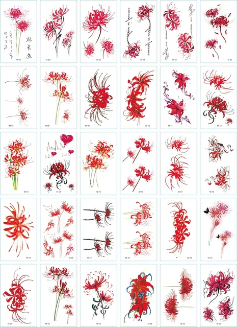 Image 22