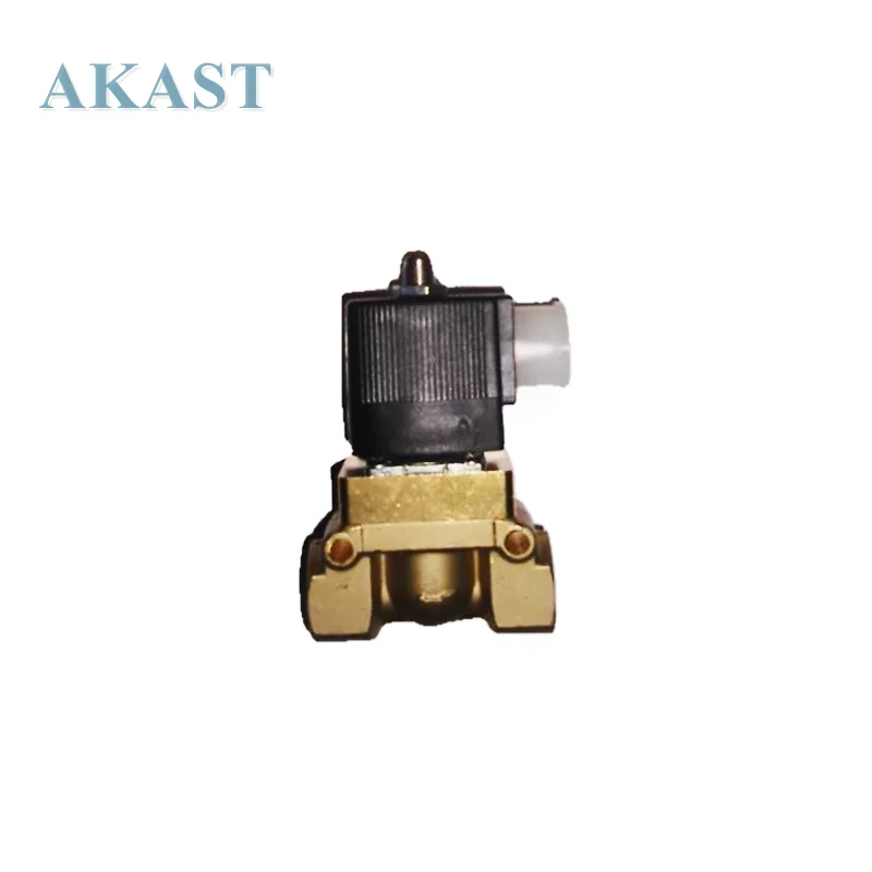39120472 Rsostituzione Dell'Elettrovalvola Per Compressore D'Aria Ingersoll Rand