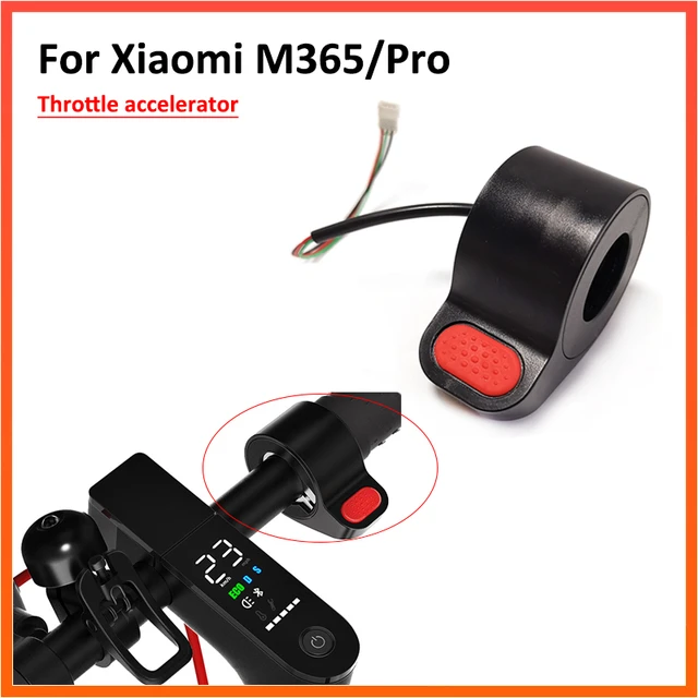 Accélérateur compatible M365, 1s, essentiel Pro/2