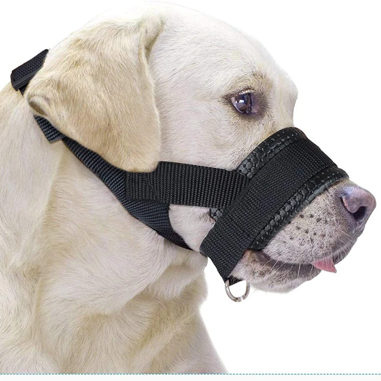snout strap for dogs