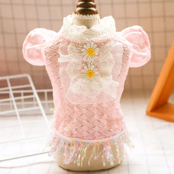 

Teddy Chihuahua Puppy Pet Dog Dog Cat Clothes Early Summer Pink Lace Temperament Princess Dress