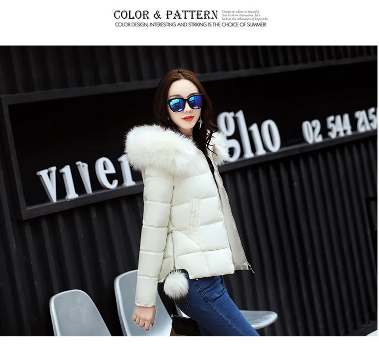 8979226719_1006637240