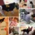 Безопасность Одежда Для Собак Маленькая Собака Толстовка Пальто Чихуахуа Собака Толстовка Французский Бульдог Теплый Щенок Одежда Толстовка Для Собаки XS-L