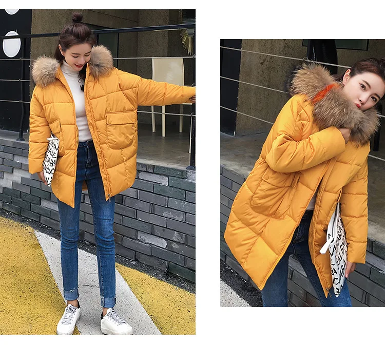 9036752750_1006637240