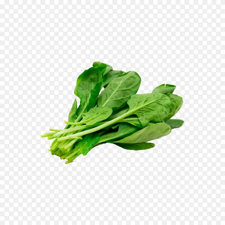 素食料理 蛋煎蛋 菠菜 芝麻菜 蔬菜png图片素材免费下载 图片编号4447761 Png素材网