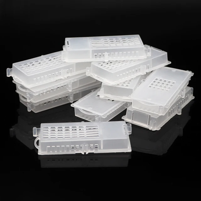 20 Pcs Méhész Méh Átlátszó Queen Ketrecek Rovarfelszerelés Ház Méhkapár Méhészeti Eszközök - Image 5