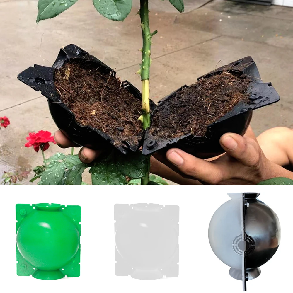 

Plant Rooting Ball Grafting Rooting Growing Box Breeding Case Plant Root Growing Box For Garden 5/8/12cm In Diameter