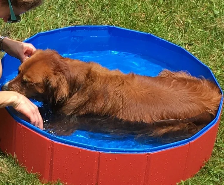 61xRH8oHEDL._SL1600_