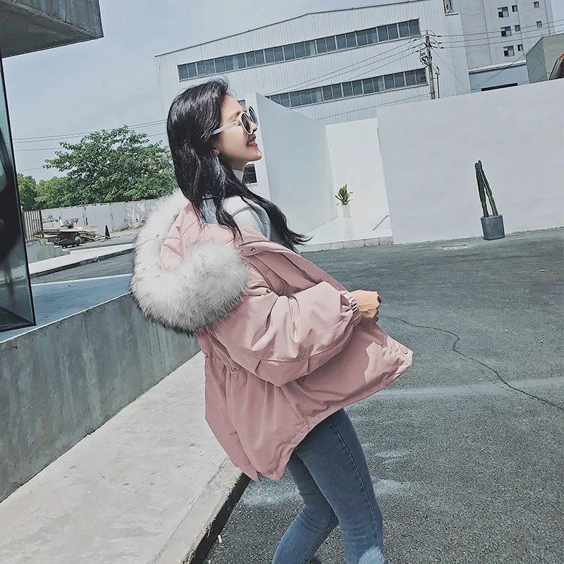 

Anti-Season waitmore Cotton-padded Clothes Student Short-height Winter Thick INS Super Fire Workwear Cotton Coat Women's Short