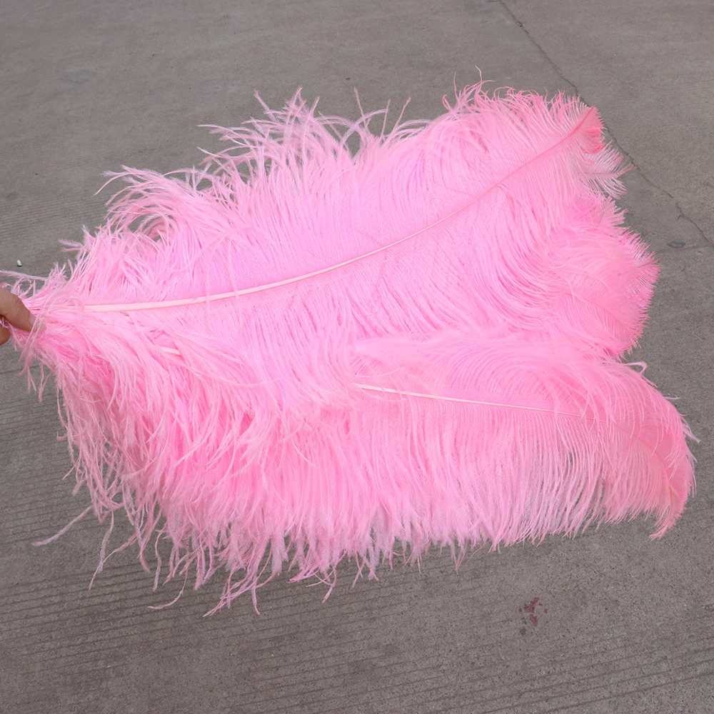 TS0165005 65-70cm ostrich feathers 2