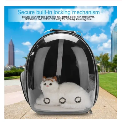 Золотой Beautiful Breathable Portable Pet Carrier Bag Outdoor Travel puppy cat bag Transparent Space Pet Backpack Capsule - Цвет: Золотой