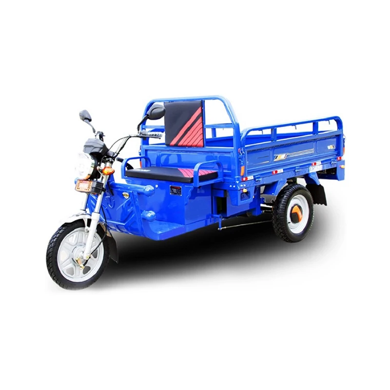 

3 Wheels Adult Electric Tricycle Cargo Tuk Tuk Car Bicycle Electric Cargo Bike New India For Farm Work