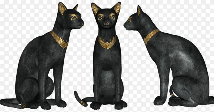 黑猫孟买猫古埃及金字塔埃及毛亚努比png图片素材免费下载 图片编号 Png素材网 黑猫孟买猫古埃及金字塔埃及毛亚努比png图片素材免费下载 图片编号 Png素材网