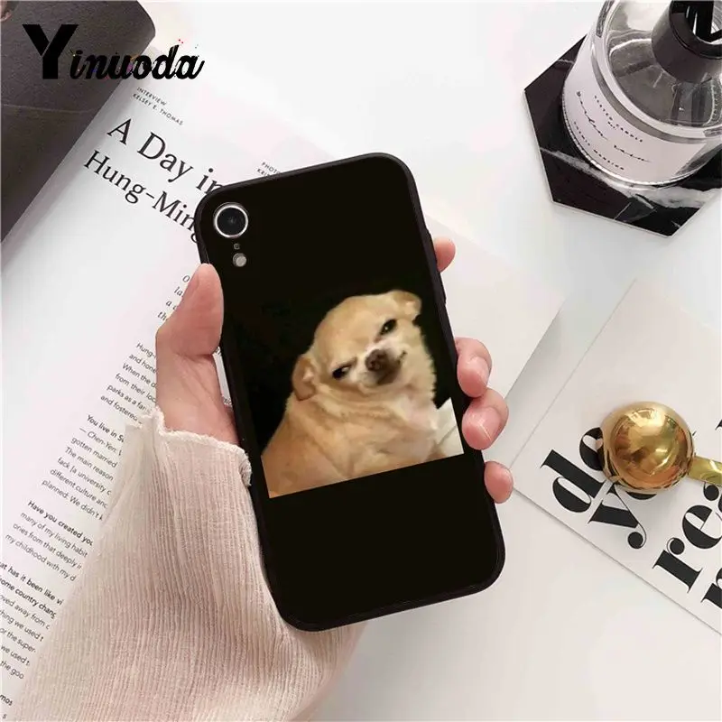 funny cat dog mood