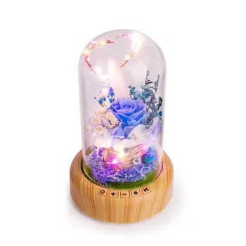 

Wishing Bottle Bluetooth Speaker LED Night Light Christmas Wireless Soundbox NEW!