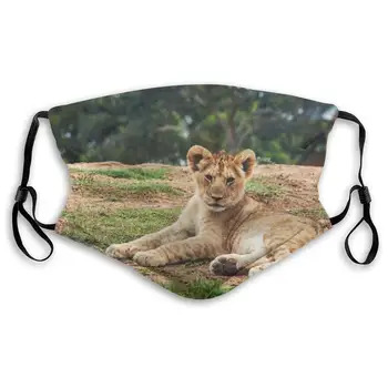 

Lion Cub Lying On Ground Washable Reusable Mask, Anti Dust Half Face Mouth Mask For Kids Teens Men Women With Adjustable Ear