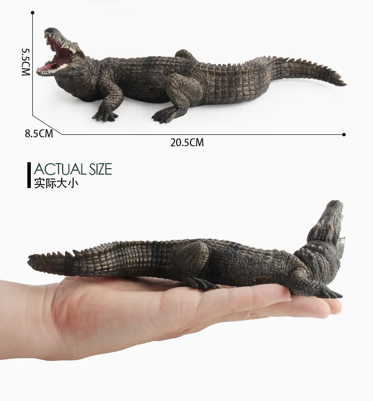 9004140560_1793268619