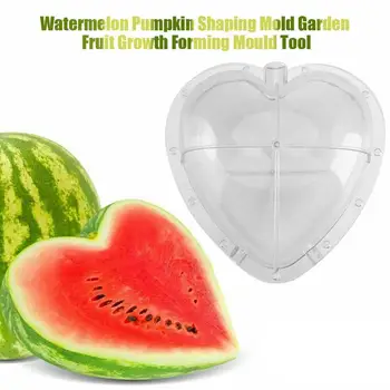 

Heart-shaped / Square Shaped Watermelon Growth Mold Garden Plant Growing Tray Fruit Growing Forming Mould