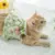 Летняя Новая Одежда для кошек Lotus Leaf Lace Daisy Skirt Blue Cat Skirt Spring and Summer Dog Clothing for Kitty Puupy