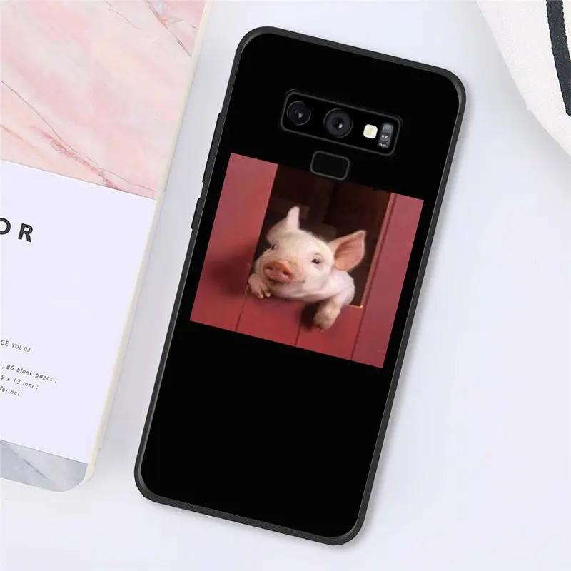 Cute Little Pink Pet Pig