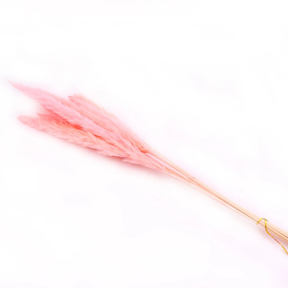 15 шт. Bulrush натуральный Рид сушеные маленькие Пампы трава Phragmites коммуниса свадебный цветок букет украшение дома