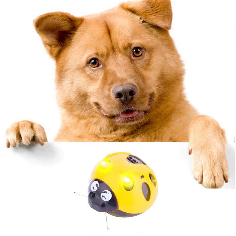 dog toy with battery