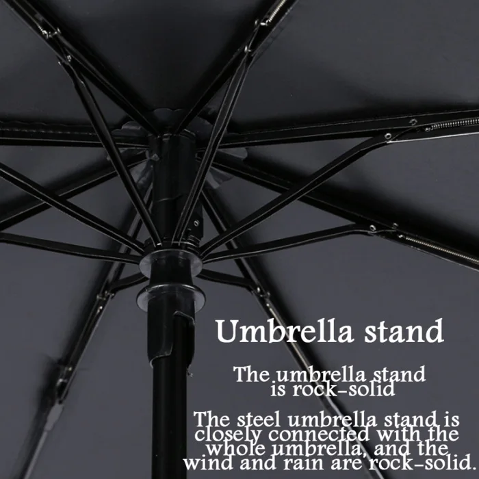 Umbrella 8 Ribs Auto Open Close Windproof Rain Umbrella Waterproof Outdoor FP8