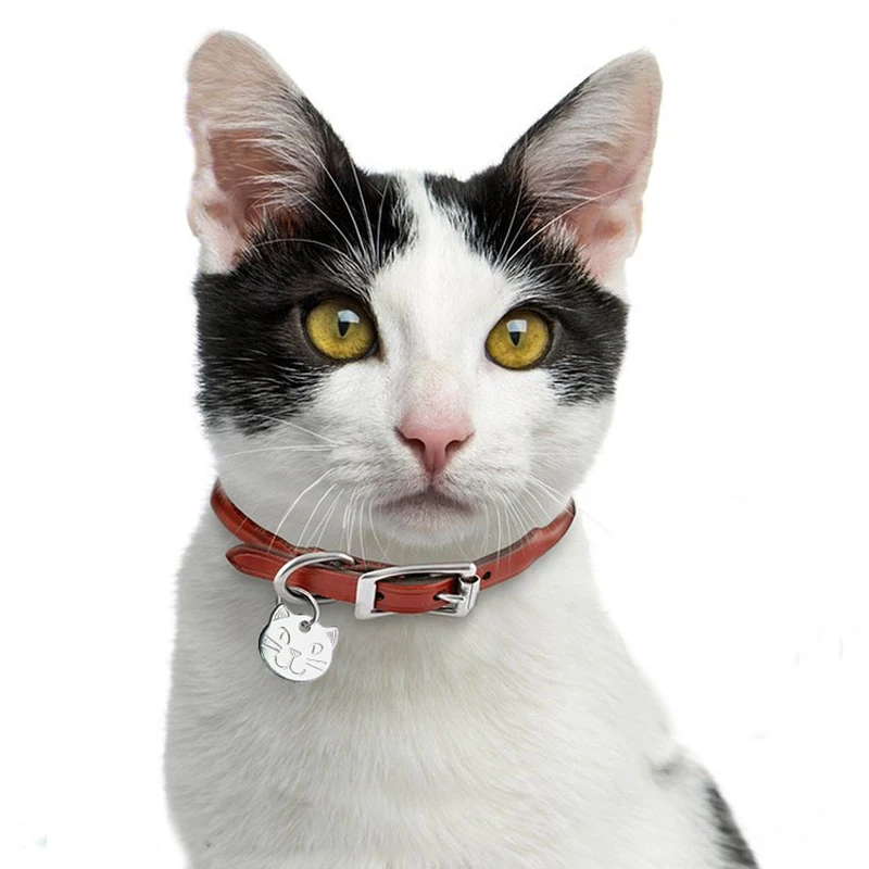 Персонализированные кошка именной ярлык изготовленное на заказ металлическое котенок в форме "антипотеря" Dog Tag для ошейник для кота Милые ID домашнего питомца, собаки теги гравировка
