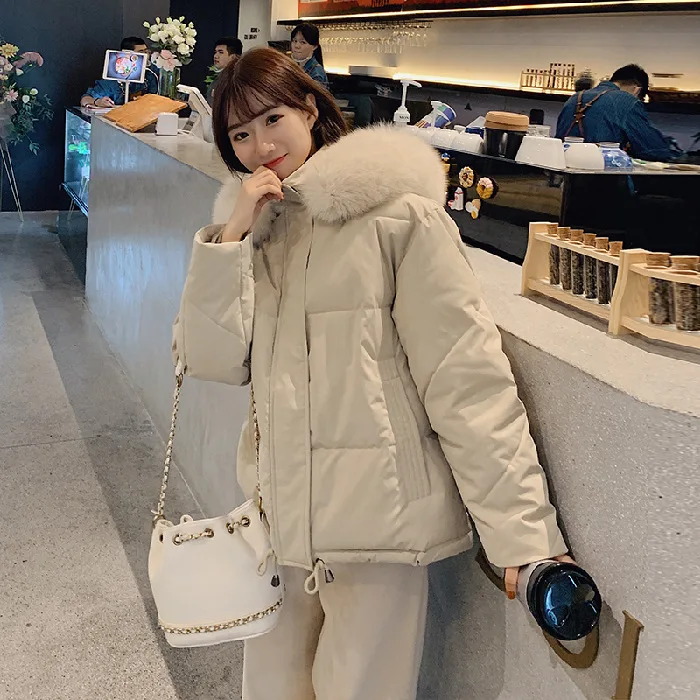 

13402 Photo Shoot Winter New Style down Jacket Short Korean-style Loose-Fit Hooded down Coat Cotton Overcoat 9.21