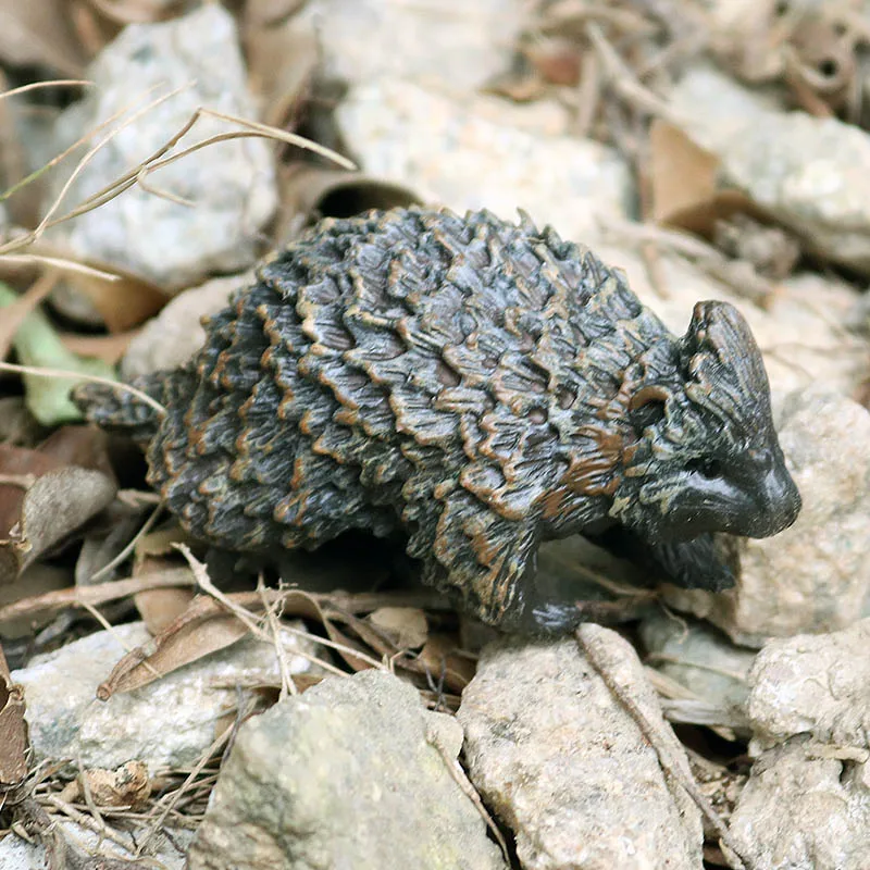 PL127-1056小刺猬