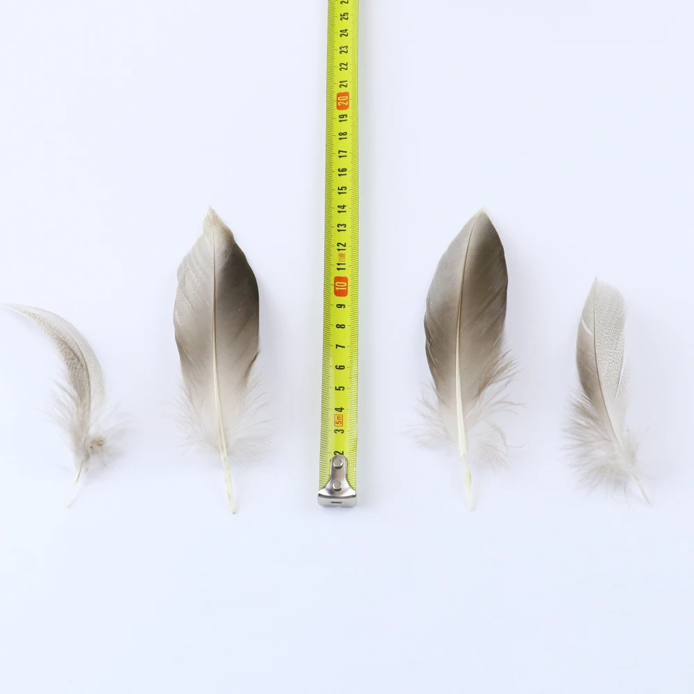 10-15cm 青野鸭毛 尺寸