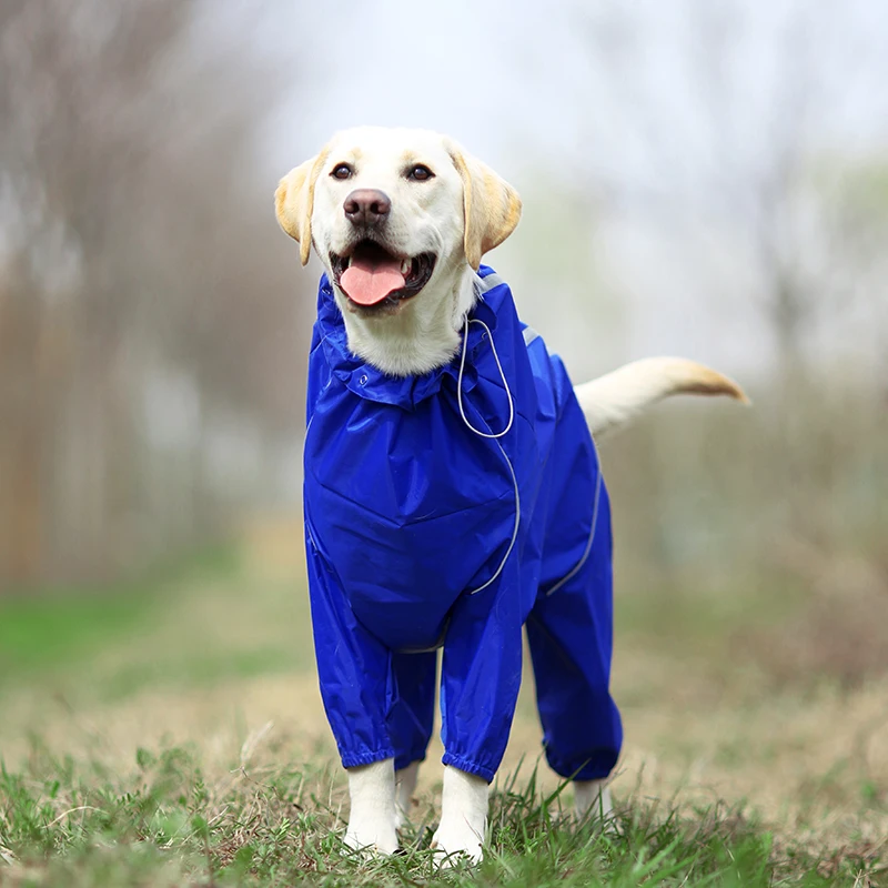 capas de chuva para cães