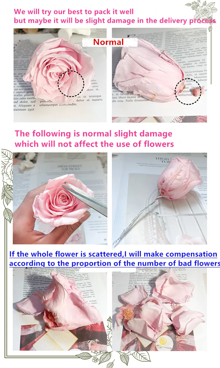 Cabeça de flor de rosa preservada grau