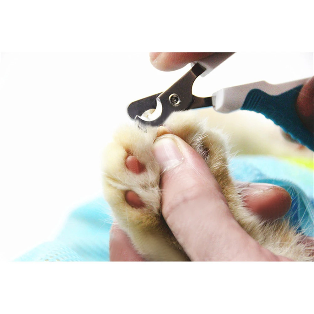 Professional Pet Dog Nail Clipper Scissors Cutter Stainless Steel Grooming Scissors Clippers Fr Animals Cats Beauty Nail Scissor (11)